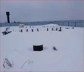 Земельный участок сельскохозяйственного назначения площадью 105 848 кв.м. Кадастровый номер: 66:16:1404001:225. Категория земель: земли сельскохозяйственного назначения. Вид разрешенного использования: сельскохозяйственное использование. Адрес: Свердловская область, Нижнесергинский район, поселок…