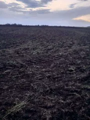 1/260 доля в праве на земельный участок, площадь: 8 141 178 кв.м., адрес (местонахождение): Российская Федерация, Республика Татарстан (Татарстан), м.р-н Черемшанский, с.п. Ивашкинское, с Ивашкино, тер. Паевые земли, з/у 1, категория земель: Земли сельскохозяйственного назначения, разрешенное…