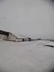 Имущественный комплекс ХПП в г. Тюкалинск, состоящий из следующих активов: Земельный участок. Земли населенных пунктов   Для не сельскохозяйственного производства, для размещения производственных зданий. Площадь: 69 973 кв.м. Кадастровый номер: 55:38:013202:25  Здание склада № 1, назначение…