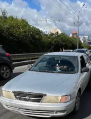 Nissan Sunny, 1998 года, 105 лс, 250000 км ещё легковой автомобиль, марка: NISSAN, модель: SUNNY, год изготовления: 1998, VIN: JN1BCAB14Z0311990, ПТС: 25 ТС 048736, модель двигателя: GA15, тип двигателя: бензиновый, двигатель №: 498993E, мощность двигателя, л. с. (кВт): 105 (78.75), рабочий объём…