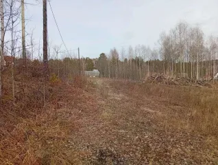 Земельный участок 1942 кв.м, Ангарский городской округ, СНТ "Русские березы-1", площадью 1 942 кв.м., расположенная по адресу: АНГАРСКИЙ ГОРОДСКОЙ ОКРУГ, Ангарский городской округ, автодорога "Подъезд к с. Савватеевка" СНТ "Русские березы-1", улица Овражная, земельный участок 511. Кадастровый…