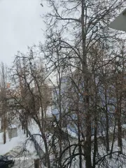 Квартира 54,2 кв.м, Московская область, Люберецкий район, г. Люберцы, ул. Смирновская, д. 8, пом. 33, 2 комн., кадастровый номер 50:22:0010207:773.