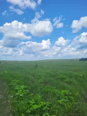 Земельный участок 187 140 кв. м, Московская обл., Серпуховский р-н, в районе д. Семеновское, кадастровый номер 50:32:0080112:48, земли с/х назначения - для дачного строительства, ограничения и обременения: ограничения прав на земельный участок, предусмотренные статьей 56 Земельного кодекса РФ.