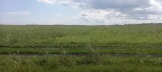 Право долгосрочной аренды земельного участка площадью 1 943 853 кв.м, кадастровый номер 02:47:121101:10, адрес: Местоположение установлено относительно ориентира, расположенного в границах участка. Почтовый адрес ориентира: Республика Башкортостан, р-н. Уфимский, с/с. Николаевский. Имеются…