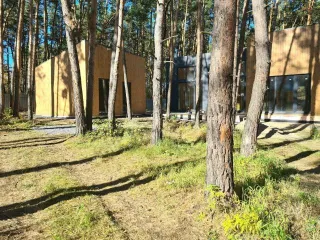 Дом, баня и земельный участок 1456 кв.м. в Новосибирской обл., дом, баня (незавершенное строительство) на земельном участке. Адрес: Новосибирская обл, р-н Ордынский, п Чернаково, пер Приморский, 19. - земельный участок, площадью 1456,0 кв. метров, имеющий кадастровый номер 54:20:022618:61; -…