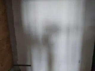 Квартира, жилое помещение, кадастровый номер 77:08:0010001:5405, адрес: Москва, Хорошево-Мневники, пр-кт. Маршала Жукова, д. 78, кв. 284