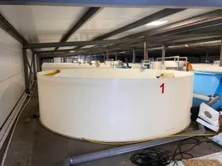 Строительство фермы по выращиванию форели по адресу д. Мещеряково Промпарк «Буинск» Буинского муниципального района, кадастровый номер 16:14:140102:762, общая площадь 1 432,0 кв.м. (в залоге АО «Татагролизинг»); Административное здание, кадастровый номер 16:14:140102:763, общая площадь 57,4 кв.м…