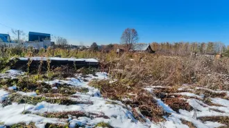 Земельный участок 2084 м² Алтайский край с кадастровым номером 22:33:042801:3384, площадью 2 084 м.кв., местоположение «Российская Федерация, Алтайский край, Первомайский район, Садоводческое некоммерческое товарищество "Новогорское", линия 7, участок № 49. В залоге у ПАО «Сбербанк».