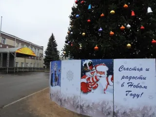 Новогодние украшения и ель искусственная: ель искусственная - 1 шт., ограждение - 1 шт., новогоднее украшение тип 1 (шар) - 192 шт., новогоднее украшение тип 2 (колокольчик) - 107 шт., новогоднее украшение тип 3 (макушка) - 1 шт.