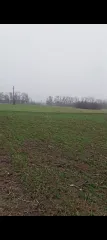 Земельный участок 2000 кв.м, Краснодарский край Земельный участок, кадастровый номер: 23:35:0304004:399, площадь 2000, местоположение установлено относительно ориентира, расположенного в границах участка. Почтовый адрес ориентира: Краснодарский край, Усть-Лабинский район, ст-ца Воронежская. С…