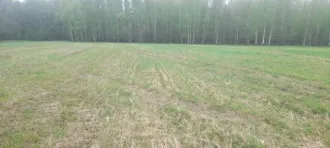 Земельный участок в Вологодской области, площадь 56000 +/- 83 кв.м. Категория земель: земли сельскохозяйственного назначения, назначение: для сельскохозяйственного производства. Адрес: Россия, Вологодская область, Устюженский район. Кадастровый номер: 35:19:0310001:289.