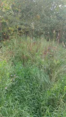 Здание 8 кв.м и земельный участок 800 кв.м в Калужской области, Боровский район, деревня Шемякино. Участок для ведения личного подсобного хозяйства, площадь 800 +/-12 кв.м, кадастровый номер 40:03:050801:578. Нежилое здание площадью 8 кв. м, кадастровый номер 40:03:050801:779. Доля в праве…