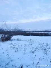 Земельный участок 2070451 кв.м Забайкальский край Земельный участок, категория земель: земли сельскохозяйственного назначения, виды разрешённого использования: для сельскохозяйственного использования, расположенный по адресу: Местоположение установлено относительно ориентира, расположенного в…