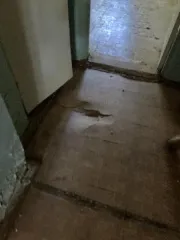 Земельный участок 2246 кв.м и здание баклаборатории 186,3 кв.м, Пермский край Земельный участок площадью 2246 кв.м с кадастровым номером 59:38:0310132:6, с расположенным на нем объектом недвижимого имущества – здание баклаборатории площадью 186,30 кв.м с кадастровым номером 59:38:0310132:103, по…