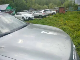 Infiniti FX 35, 2004 года, 280 лс, 236853 км, полный привод, АКПП. Легковой автомобиль, марка, модель: ИНФИНИТИ ФХ 35/INFINITI FX 35, идентификационный номер (VIN): JNRAS08W54X222554, год изготовления: 2004, модель, № двигателя: VQ35211609B, шасси (рама) № Н/У, кузов №: JNRAS08W54X222554, цвет…