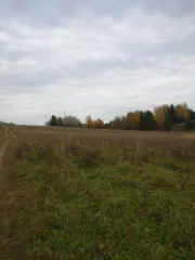 Земельный участок, 60001 кв.м, Пермский край, категория земель: земли сельскохозяйственного назначения, разрешенное использование: для сельскохозяйственного производства, общая площадь 60 000 кв.м. адрес (местоположение) объекта: Пермский край, р-н Чайковский, Сосновское сельское поселение, урочище…