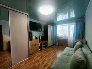 Квартира, площадь 18.3 кв.м., назначение: Жилое, этаж: 3 Этаж, адрес (местонахождение): Российская Федерация, Свердловская область, Кушвинский городской округ, поселок Баранчинский, улица Володарского, дом №29, квартира 317, кадастровый (условный) номер: 66:53:0601009:539. Обращаю внимание, что…
