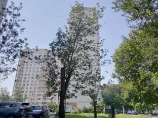 Жилое помещение по адресу: г. Москва, ул. Плеханова, д. 29, к. 1, кв. 139 общей площадью 92,4 кв.м, кадастровый номер: 77:03:0006003:2033. Вид жилого помещения: Жилое Общая площадь: 92.4