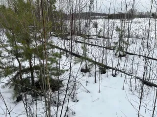 Железнодорожные пути Гороблагодатского рудника, 680 м, Свердловская область, сооружение: железнодорожные пути Гороблагодатского рудника, назначение: производственное, протяженность: 680 м, адрес: Свердловская область, г. Кушва, восточная часть города Кушвы, участок между разъездом Благодать и…