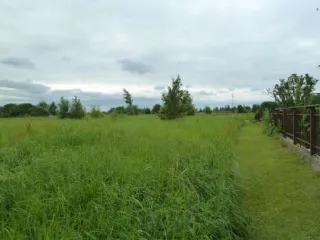 Земельный участок, кадастровый номер 53:11:0300105:3796, адрес: Новгородская обл., Новгородский муниципальный р-н, Савинское с/п, пос. Волховец