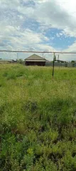 Дом блокированной застройки и ЗУ, 58,3 кв.м., Оренбургская обл., Ташлинский р-н, с. Ташла, ул. Ташлинская, д. 27, кв. 2, земельный участок 1 188 кв.м., кад.№56:31:1301006:162, категория/ВРИ - ЗНП/ИЖС, доля в праве - 1/2, дом. 58,3 кв.м., кад.№56:31:1301006:648