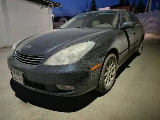 Lexus ES 330, 2004 года, 230 лс, 199888 км, АКПП, автомобиль легковой, VIN JTHBA30G340015116.