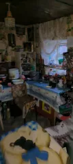 Здание жилое в собственности, расположенное по адресу: Ростовская обл., Усть-Донецкий р-н, х. Бородино, ул. Балочная, д. 16 (31.9 кв.м.). и земельный участок (для ведения личного подсобного хозяйства) в собственности, расположенный по адресу: Ростовская обл., Усть-Донецкий р-н, х. Бородино, ул…