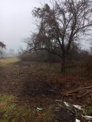 Жилой дом 49 кв.м с земельным участком по адресу Воронежская область, Бобровский район, село Хреновое, улица Красная, дом 49. Кадастровый номер дома: 36:02:3600022:669, кадастровый номер земельного участка: 36:02:3600022:674.