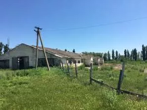 Право аренды земельного участка площадью 70 000 кв.м., категория земель: земли населенных пунктов, вид разрешенного использования: овощеводство, кадастровый номер 23:15:0602000:323, расположенный по адресу: Краснодарский край, Крымский район, в границах ТОО «Горизонт», секция 9, часть контура 8…