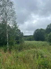 Аренда земельного участка 1084 кв.м для ЛПХ в г.о. Клин (КН 50:03:0060413:756) Площадь земельного участка: 1084 Кадастровый номер земельного участка: 50:03:0060413:756 Вид разрешённого использования земельного участка: 2.2