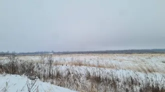 Земельный участок площадью 4.87 га (48721 кв. м), кадастровый номер 60:01:0220102:85. Местоположение установлено относительно ориентира, расположенного в границах участка. Почтовый адрес ориентира: Псковская обл., Бежаницкий р-н, СП «Бежаницкое», урочище Чисть. Категория земель – земли…