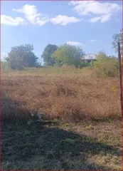 Земельный участок 1000 кв.м в Краснодарском крае. Площадь: 1000 кв.м, кадастровый номер: 23:15:0823001:51. Категория земель: земли населенных пунктов. Вид разрешенного использования: для ведения личного подсобного хозяйства. Адрес местонахождения: Краснодарский край, Крымский район, Молдаванский…