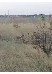 Земельный участок, 500 кв.м, Краснодарский край, г. Ейск, с/т "Виктория", дом 234, категория земель: Земли населенных пунктов, разрешенное использование: Земельные участки садоводческих товариществ, кадастровый номер: 23:42:0708002:155.
