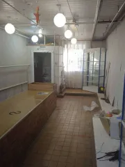 Доля в нежилом помещении 42,7 кв.м, Брянская обл. 1/2 доля в праве на нежилое помещение, площадь: 42,7 кв.м, адрес (местонахождение): Брянская обл, г. Новозыбков, ул. Некрасова, стр. 18, кадастровый номер: 32:31:0010320:267