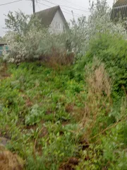 Земельный участок с кадастровым номером 55:36:150426:40, 512 кв.м., адрес: Омская область, г Омск, Центральный АО, СНТ Спектр, участок 232. Виды разрешенного использования объекта недвижимости: Садоводство. Особые отметки: Граница земельного участка не установлена в соответствии с требованиями…