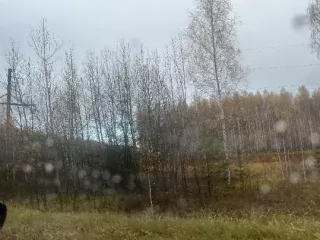 Право аренды земельного участка 6375000 кв.м., кадастровый номер: 58:08:0000000:699. Основание: договор аренды №1 от 26.11.2018 (срок действия до 26.11.2067). Участок сельскохозяйственного назначения для сельскохозяйственного производства, расположен в Пензенской области, Земетчинский район, с/с…
