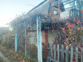 Здание, площадь 22.5 кв.м., назначение: Нежилое, кадастровый (условный) номер: 31:03:1904001:333; Адрес (местонахождение): Россия, Белгородская область, р-н Губкинский, садоводческое товарищество "Соловей", уч. 237, 
Земельный участок, площадь 500 кв.м., назначение: земли сельскохозяйственного…