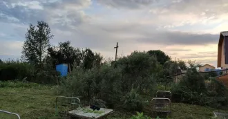 Земельный участок для садоводства, 599 кв.м, Томская область, кадастровый номер 70:22:0010217:201, назначение: для садоводства, адрес: Россия, обл. Томская, г. Северск, СНТ "МИР", квартал 3, ул. Тракторная, участок 661, вид собственности: индивидуальная.