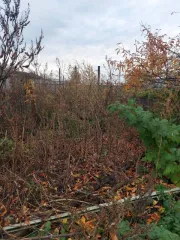 1/5 доля квартиры 37.8 кв.м и 1/5 доля земельного участка 893 кв.м в Тульской области, Куркинский район, дер. Шаховское, пер. Школьный, д.2, кв.2. Квартира жилая, 1 этаж. Кадастровые номера: 71:13:010307:442 (квартира), 71:13:010307:498 (земельный участок).