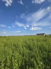 Земельный участок 600 кв.м, д. Першино (Московская область), расположенный по адресу обл. Московская, р-н Раменский, сельское поселение Ульянинское, д. Першино, общей площадью 600 кв.м., с кадастровым номером 50:23:0050563:2753.