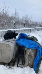 Бак топливный  (годный остаток) Бак топливный, б/у - 1 шт.; Аккумуляторные батареи, б/у - 8 шт.; Седло для соединения прицепа тягача с несущей рамой, б/у - 3 шт.; Выхлопные система грузовых автомобилей, из глушителя цилиндра с креплениями, и выхлопных труб, б/у - 4 шт., № ф-11/21/76 и-78 (годные…