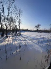 Дом 117,3 кв.м., участок 600 кв.м., Саратовская область. Жилой дом, площадью 117,3 кв.м., по адресу: Саратовская область, р-н Заводской, г Саратов, с кадастровым номером: 64:48:020420:2090 и земельный участок, площадью 600 кв.м., по адресу: Саратовская область, р-н Заводской, г Саратов, с…