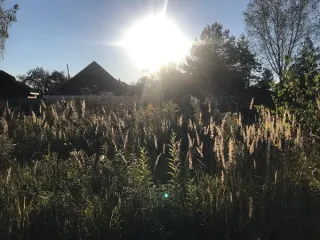 Земельный участок 650 м² с кадастровым номером 50:08:0070273:671 Вид разрешённого использования земельного участка: 2.2