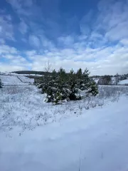 Земельный участок, площадью 1512 +/- 14 кв.м, с кадастровым номером: 66:16:2601014:182 
Расположенный по адресу: Свердловская область, Нижнесергинский район, г. Михайловск, ул. Песочная, д. 19