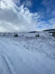 Земельный участок, площадью 1512 +/- 14 кв.м, с кадастровым номером: 66:16:2601014:182 
Расположенный по адресу: Свердловская область, Нижнесергинский район, г. Михайловск, ул. Песочная, д. 19
