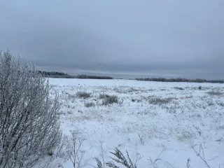 Земельный участок, кадастровый номер 69:09:0000029:204, площадь 83 572 кв.м. Местоположение установлено относительно ориентира, расположенного в границах участка. Почтовый адрес ориентира: обл. Тверская, р-н Зубцовский, с/пос Погорельское, с восточной стороны д. Новое, в границах колхоза "Успех"…