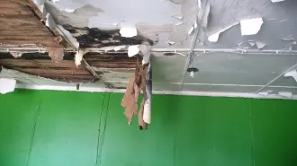 Нежилое здание магазина продовольственного, кадастровый номер 10:19:0020120:23, общей площадью 114,9 кв.м., расположенное по адресу: Республика Карелия, р-н Муезерский, п. Ледмозеро, пер. Школьный, д. 4, с земельным участком, кадастровый номер 10:19:0020120:29, общей площадью 224 +/-5 кв.м.