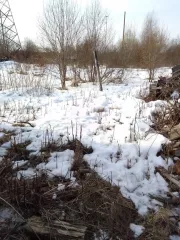 3/4 доли в здании, площадь 38.5 кв.м., назначение: жилое, количество этажей: 1, кадастровый (условный) номер: 35:26:0205007:106. Адрес (местонахождение): Россия, Вологодская область, р-н. Сокольский, г. Сокол, пер. Станционный, д. 30
3/4 доли земельного участка, площадь 946 кв.м., назначение…