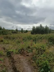 Земельный участок, площадь 1900 кв. м, КН 50:09:0020112:705, Московская область. Площадь земельного участка: 1900. Кадастровый номер земельного участка: 50:09:0020112:705. Основной вид разрешенного использования: 2.2