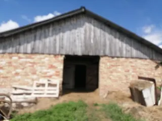 Здание телятника общей площадью 172.5 кв.м, расположенное на земельном участке площадью 1402 кв.м с кадастровым номером 21:07:020201:187. Категория земель: земли сельскохозяйственного назначения, разрешенное использование: скотоводство. Кадастровый номер здания: 21:07:020201:184, количество этажей…